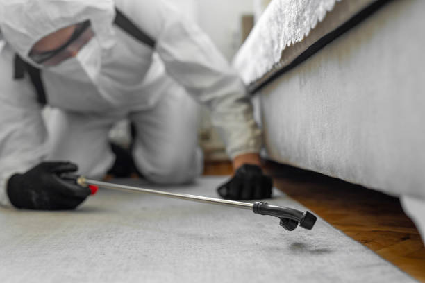 Professional Bed Bug Control technician working in Ellisville, MS