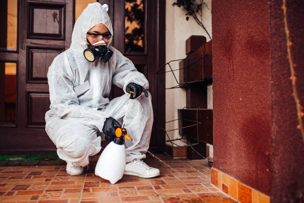 Reliable Bed Bug Control contractor in Ellisville, MS by Nex Pest Control