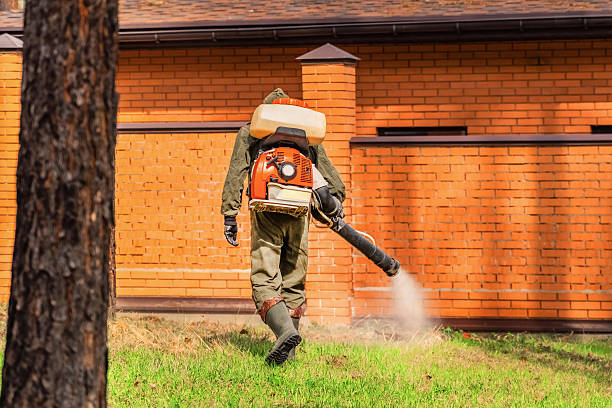 Trusted Cockroach Control service in Ellisville, MS - Nex Pest Control